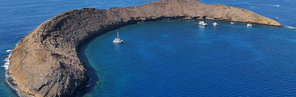 Island Style Diving