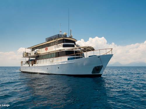 MV FeBrina