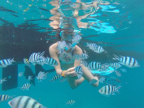 Coral Grand Divers - Koh Tao PADI Career Development Center