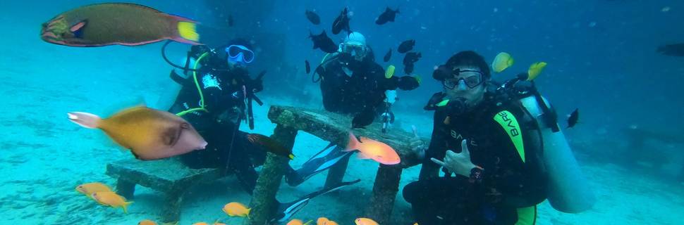 Big Ocean Dive