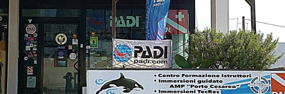 Orca Diving Center