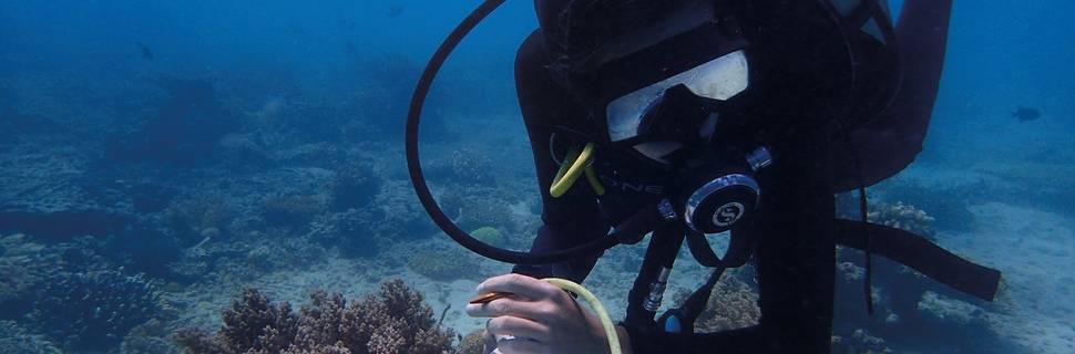 Marine Conservation Philippines
