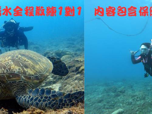 Action Diving Group