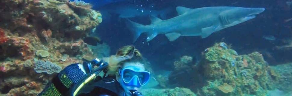 Coral Divers PADI 5 Star IDC Centre and Resort