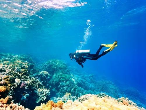 Carpe Diem Maldives (Cruises)