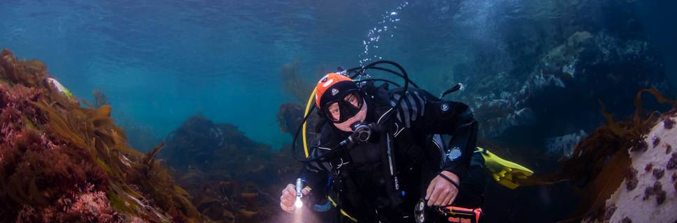 Discovering Scuba