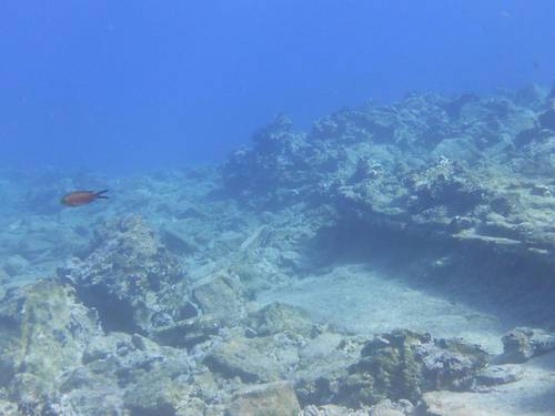 Nima Diving Center - Naxos PADI 5 Star Diving Center