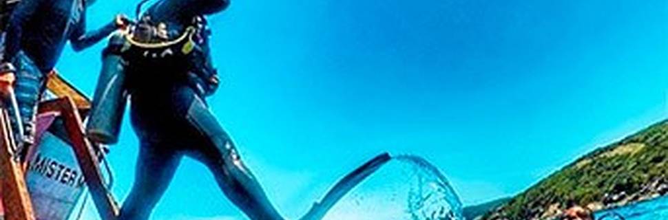 Master Dive