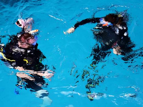 Dive X Riviera Maya Dive shop