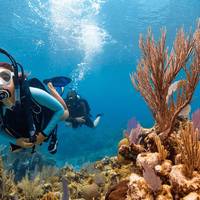 DiveWorld Hungary