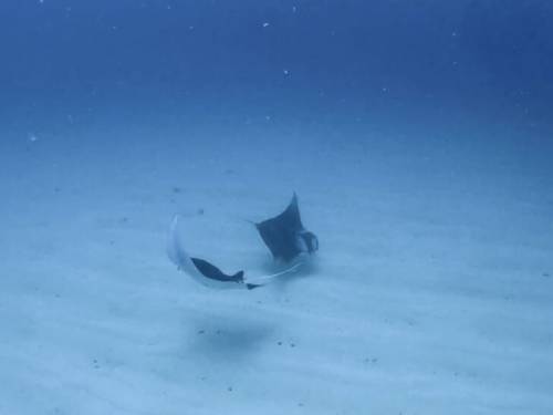 URUMA DIVING CLUB