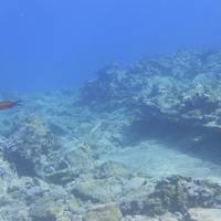 Nima Diving Center - Naxos PADI 5 Star Diving Center