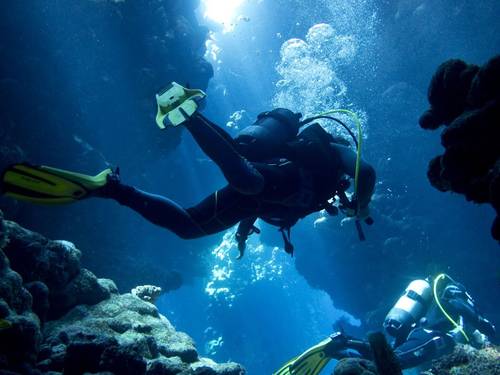 Millennium Dive Center