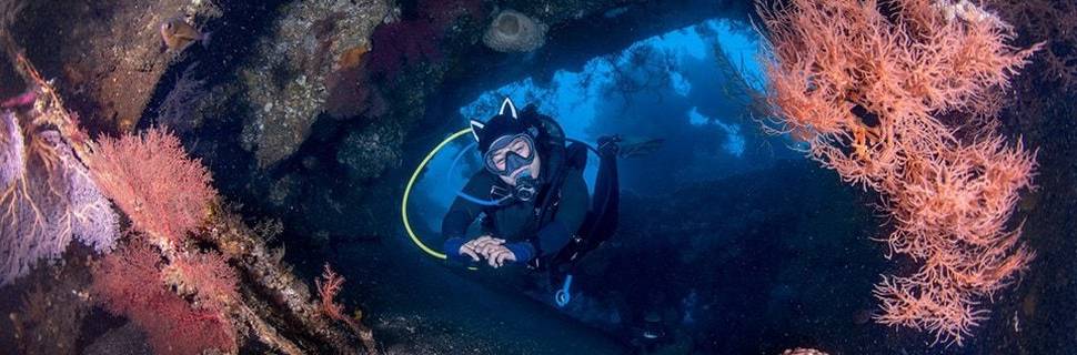 Tulamben Scuba Dive & Snorkeling - Scuba Go Indonesia