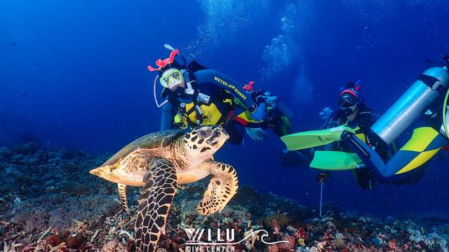 Wilu Dive Center