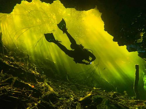 Diveworld