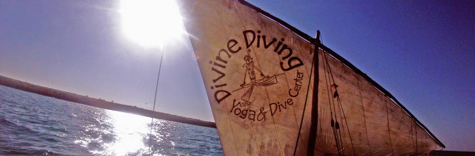 Divine Diving Yoga & Diving Center
