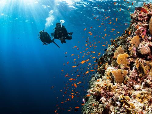 Ocean Lovers Taganga