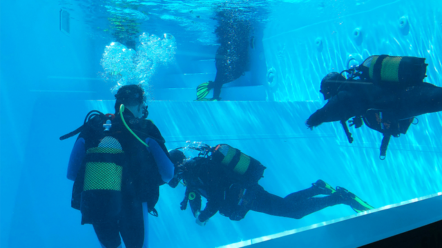Santa Cruz Dive House