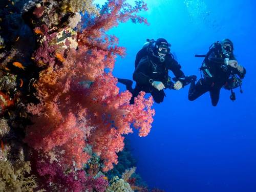 Dive Station Pattaya