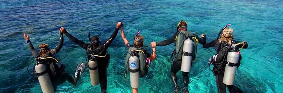 Blue Sea Diving and Water Sports