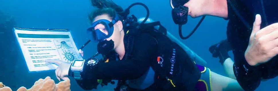Roctopus™ | Koh Tao Diving Center