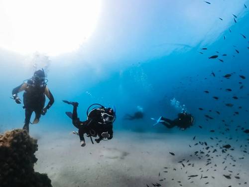 Dive & Dive