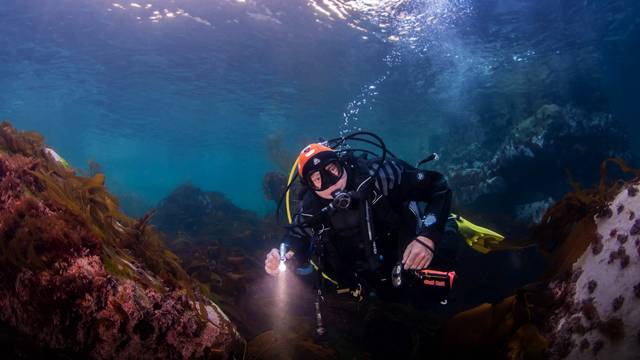 Discovering Scuba