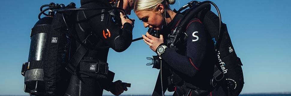 Kingfish Dive & Travel