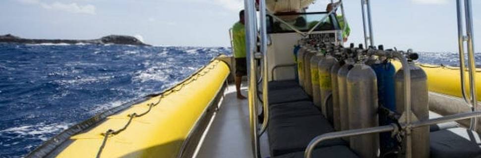 Dive Maui