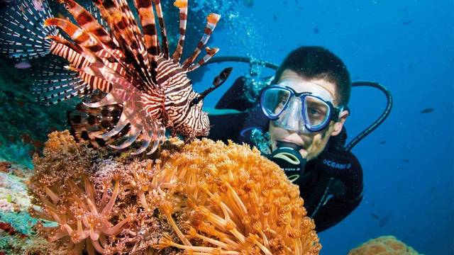 Dive UK Hurghada