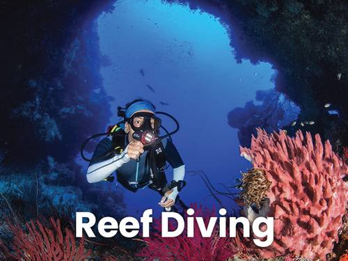 Tufi Dive Resort