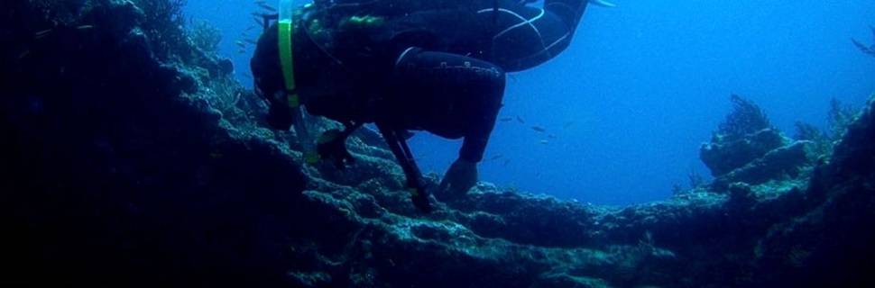 Deep Blue Dive Mexico