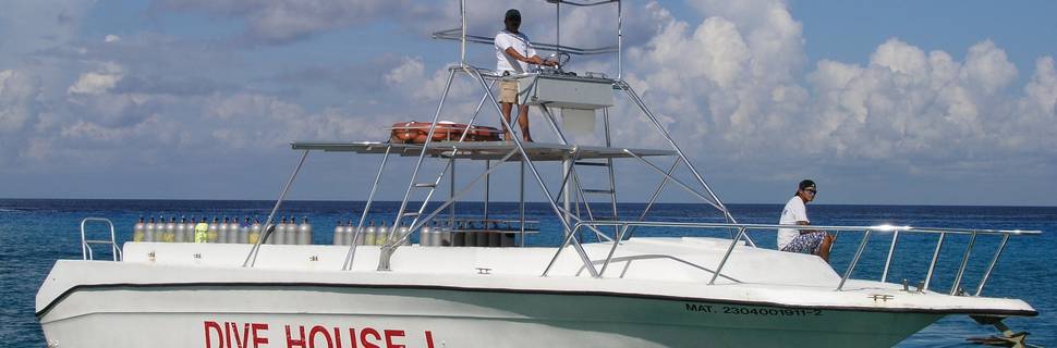 Dive House