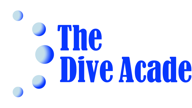 The Dive Academy