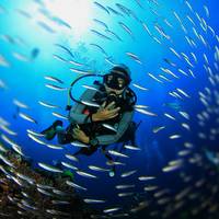 Gold Coast Dive Adventures