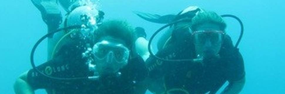 Octopus World Dahab