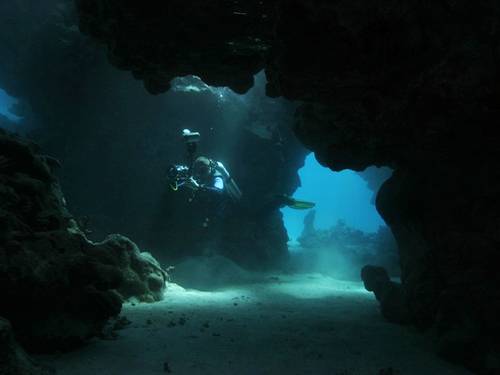 Best Divers