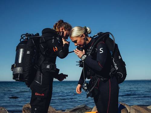 Kingfish Dive & Travel