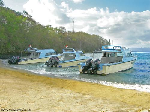AquaMarine Diving - Bali