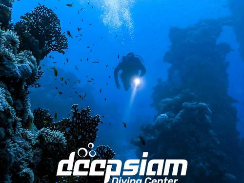 DeepSiam