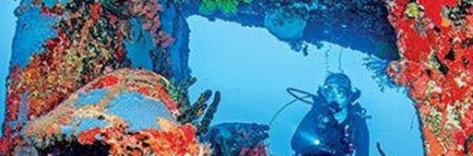 The Dive Shop