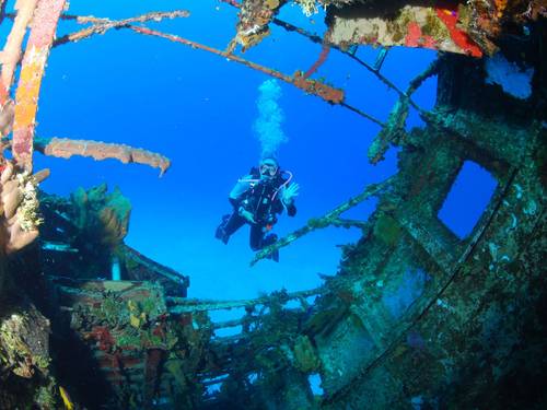 5 Star Divers