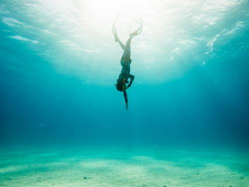 Sea Mastermind PADI 5-star Freediving Mermaid SCUBA Center