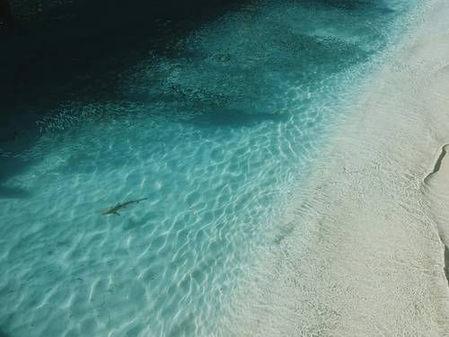 Back to Basics Adventures Scuba Diving