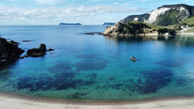 Dive Zone Whitianga