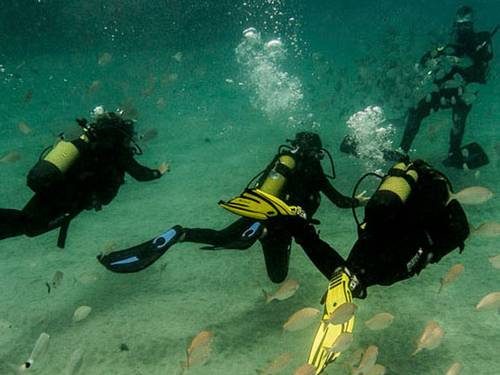Safari Diving Lanzarote