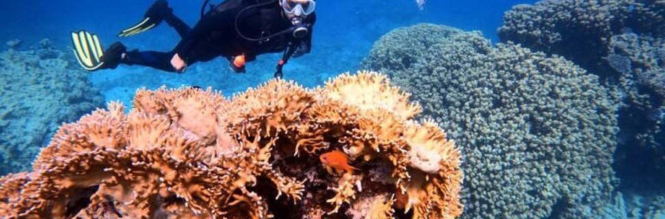 Aqaba Leaders dive center