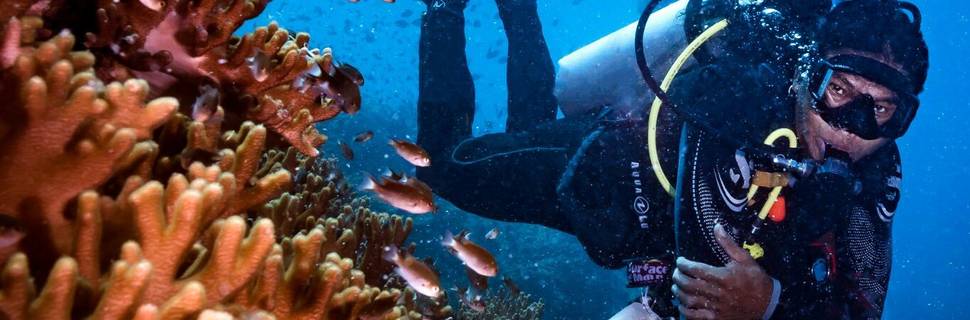 New Heaven Dive School and Resort