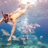Passion Paradise Adventures Scuba Diving & Snorkeling Day Tours